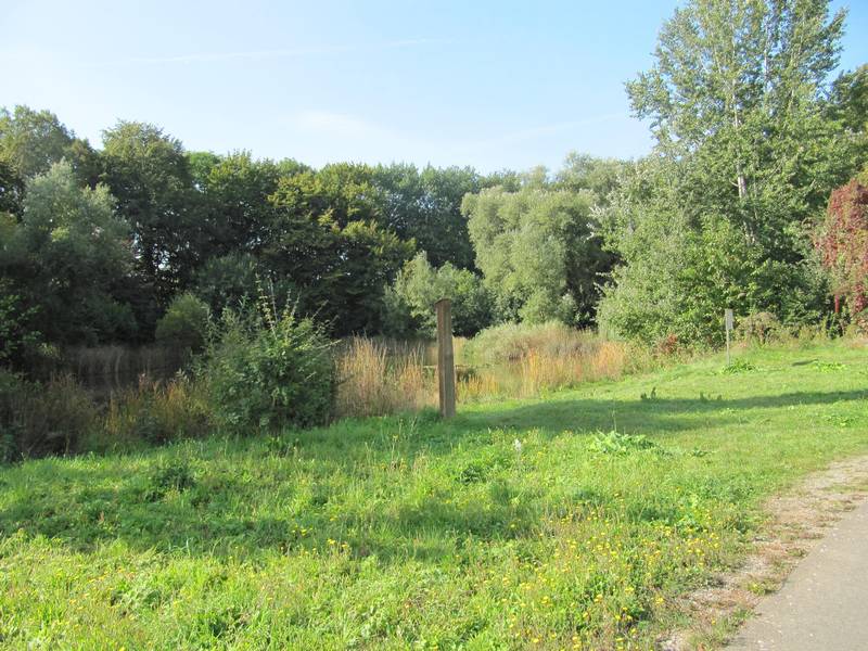 Ländliche Siedlungsräume - Bedeutung für den Artenschutz