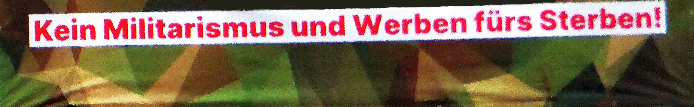 Kein_Werben_fuers_Sterben