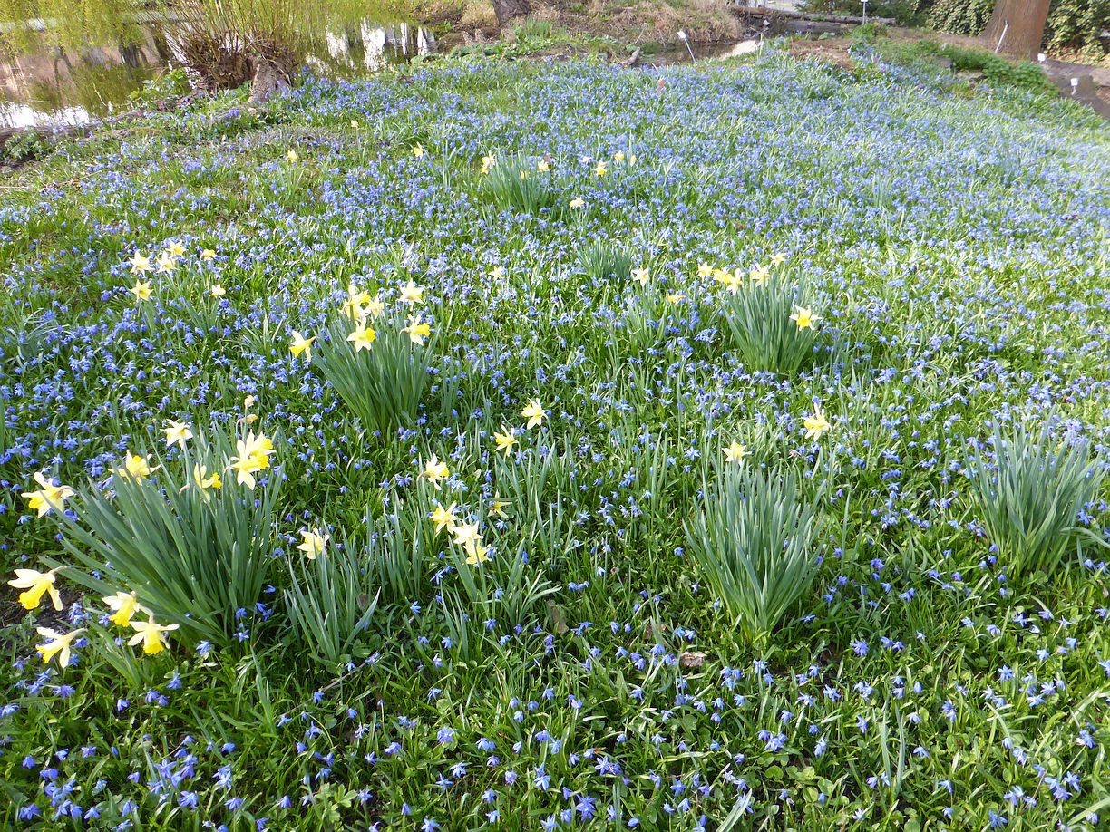 Garteneroeffnung_2025