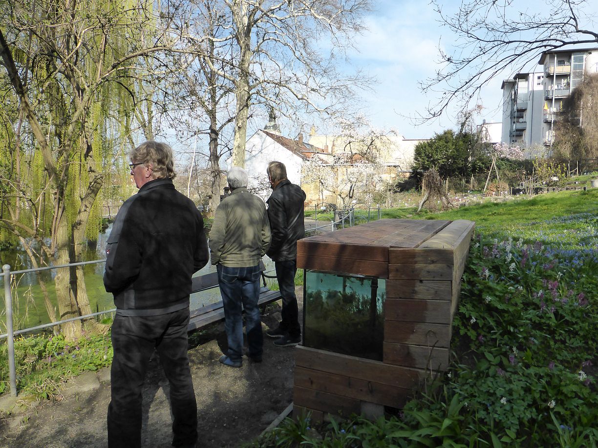 Garteneroeffnung_2025