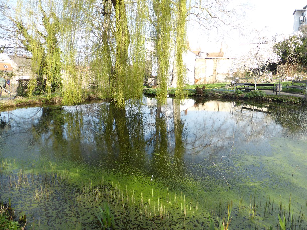 Garteneroeffnung_2025