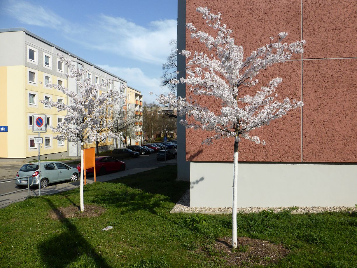 Garteneroeffnung_2025