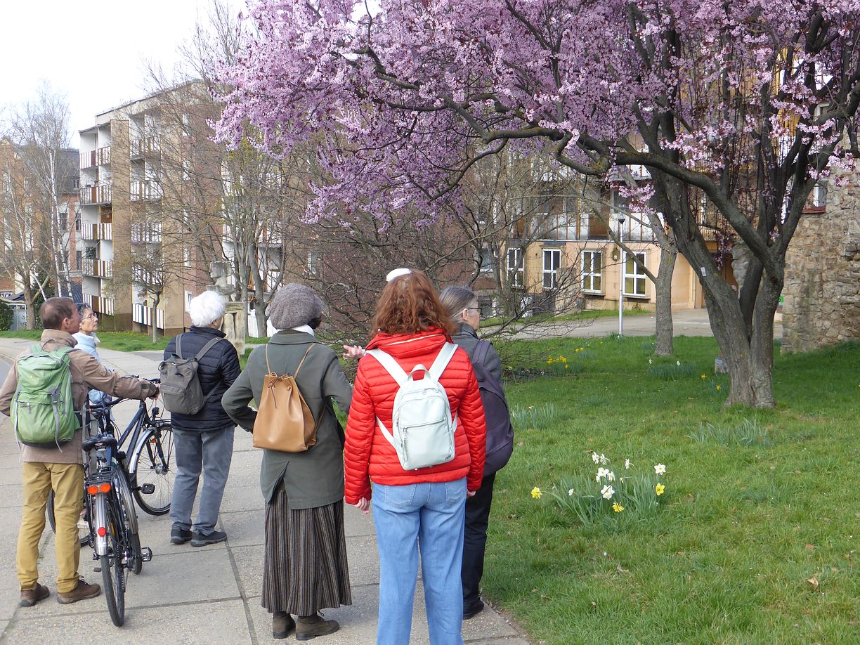 Garteneroeffnung_2025