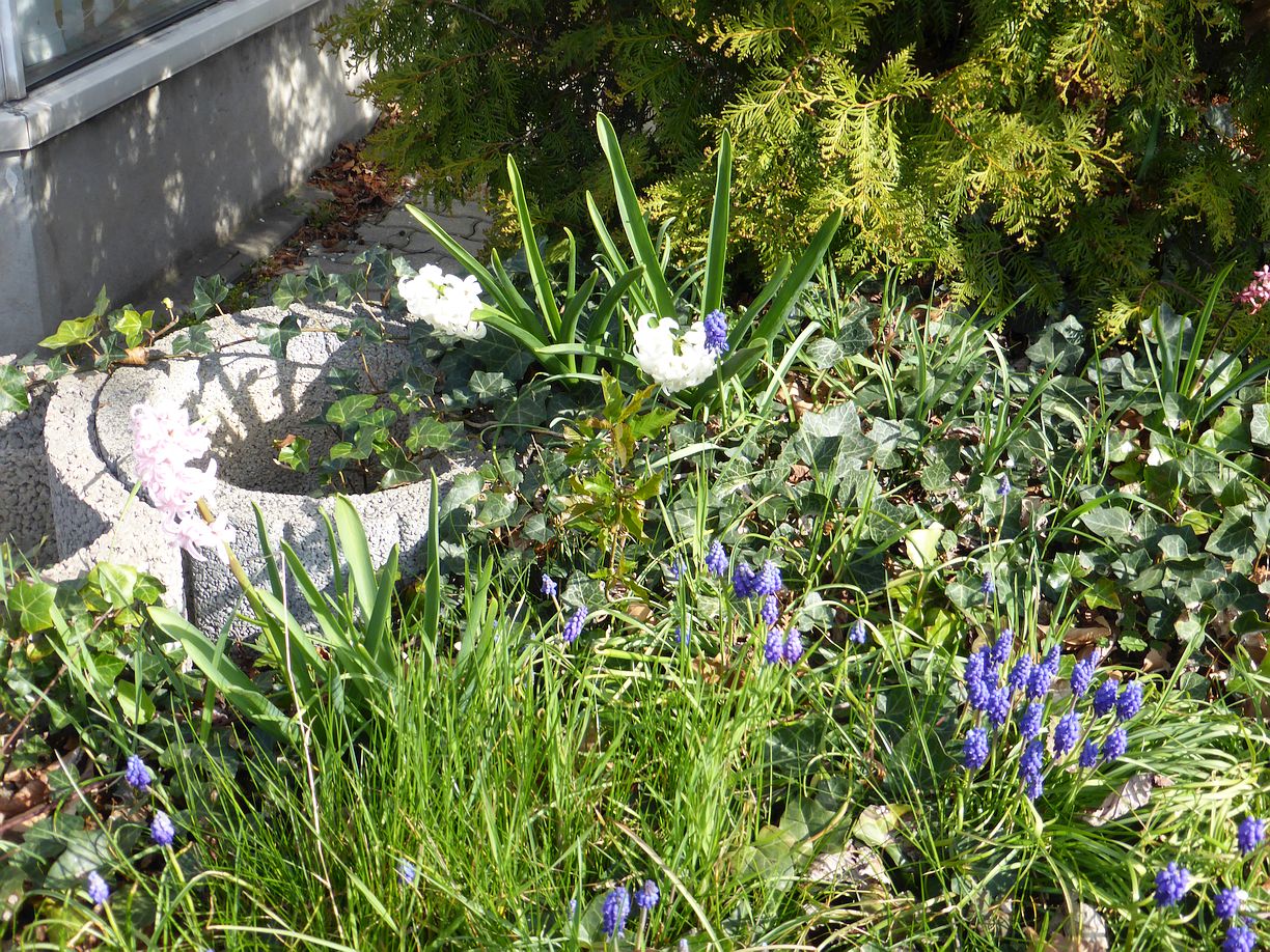 Garteneroeffnung_2025