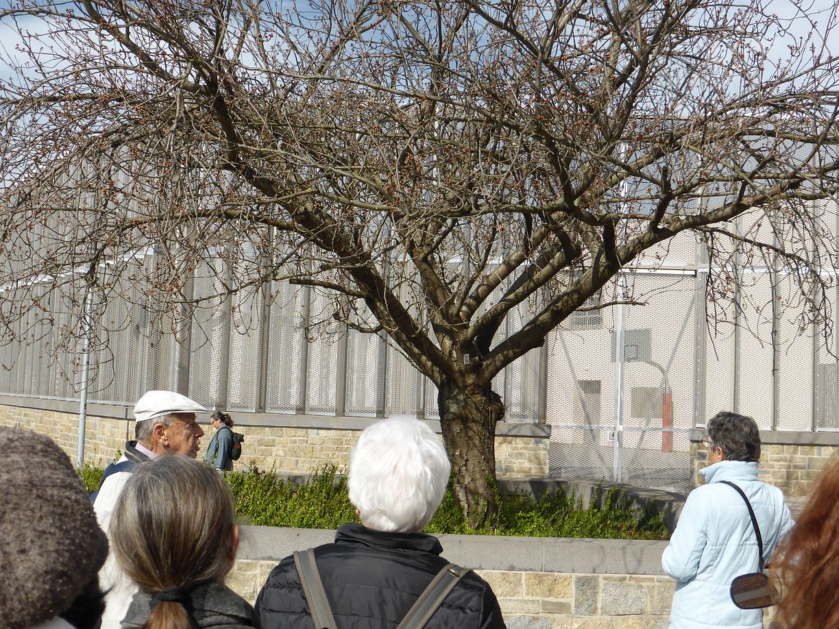 Garteneroeffnung_2025