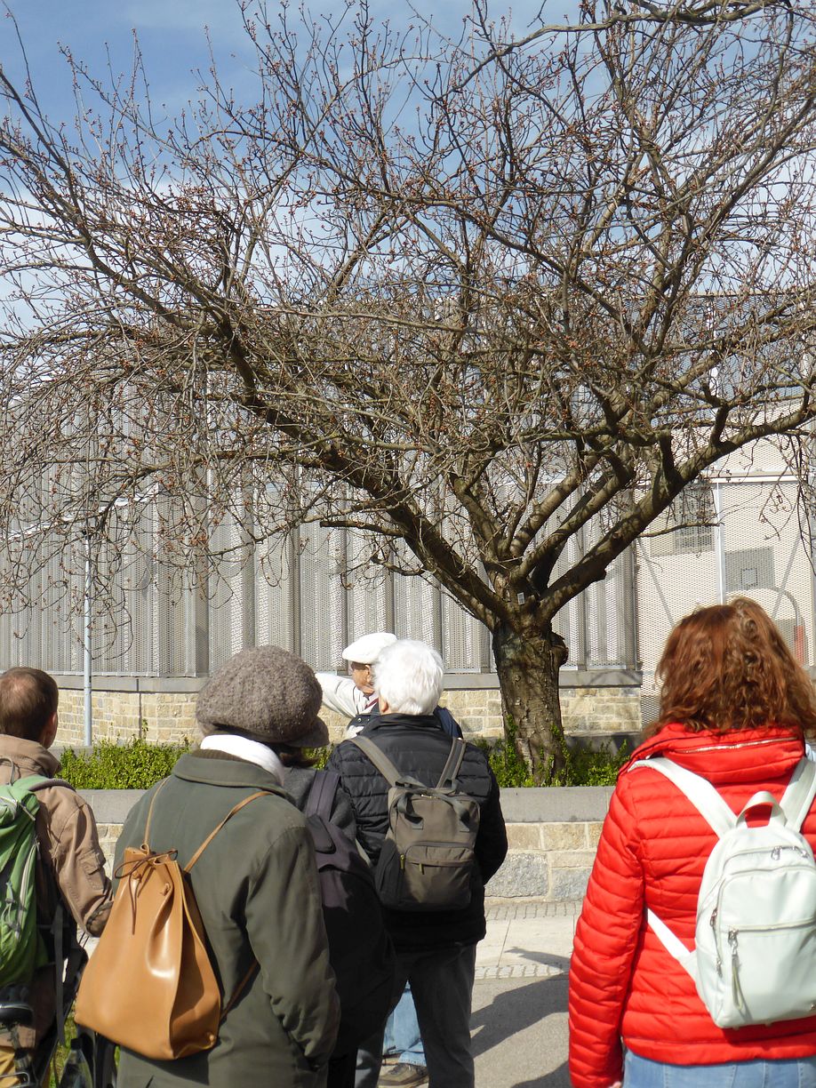 Garteneroeffnung_2025