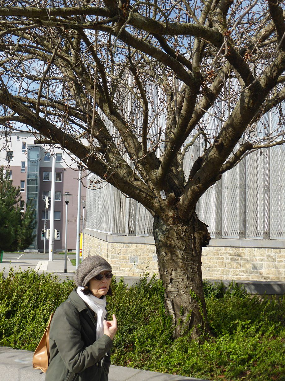 Garteneroeffnung_2025