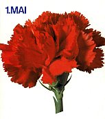 DGB_Nelke_1_Mai