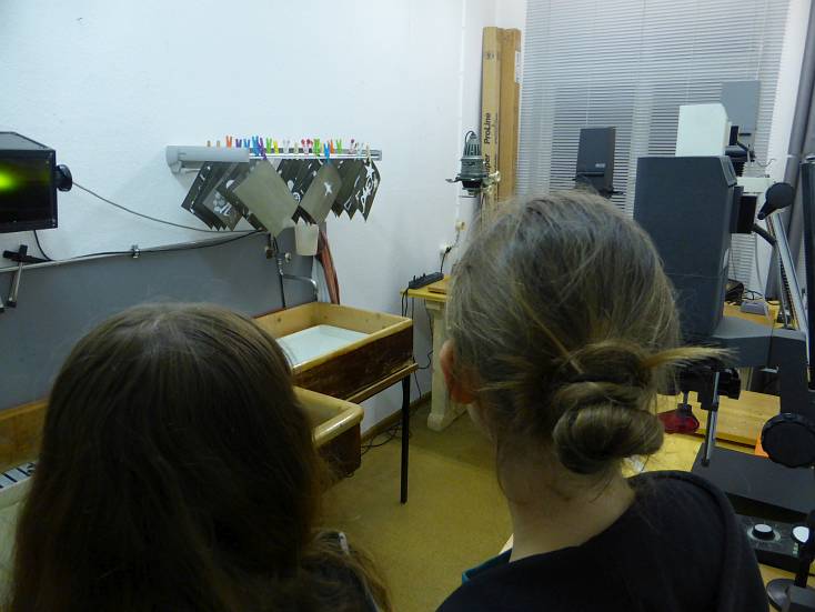 Nacht_der_Jugend_2023