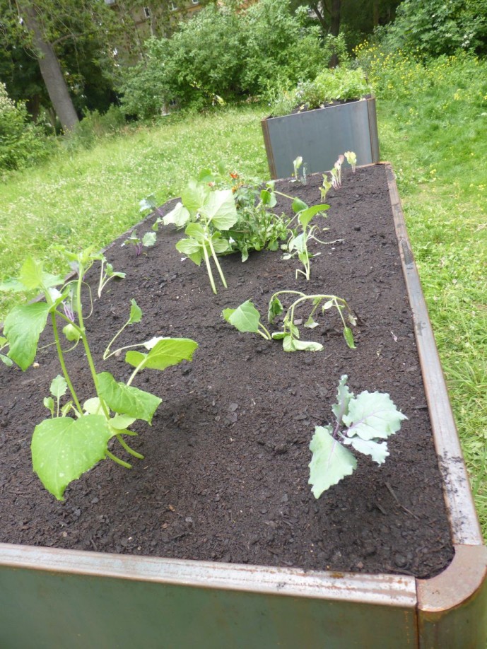 Quartiersarbeit_2025