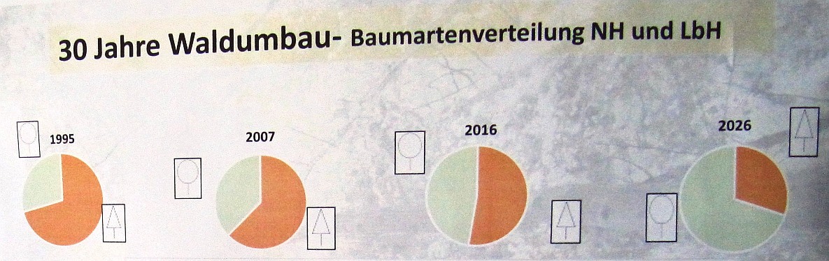 30_Jahre_Waldumbau