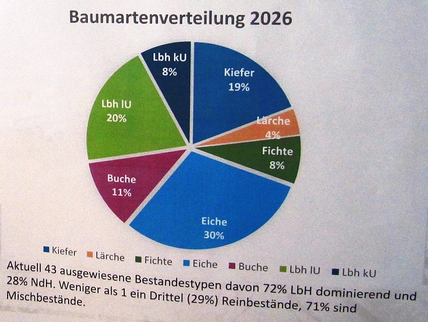 Baumartenverteilung_2026