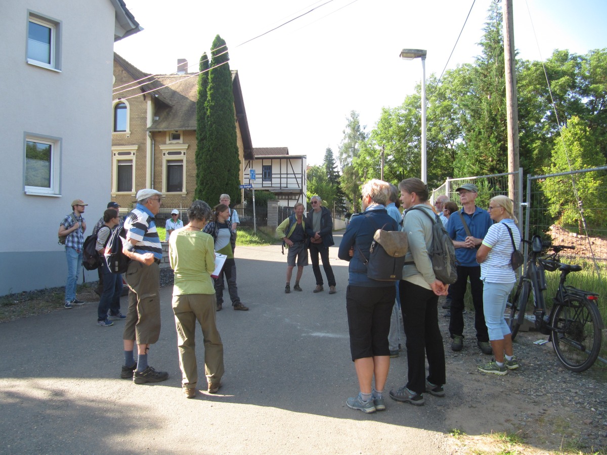 Waldbegehung_2026-07-25