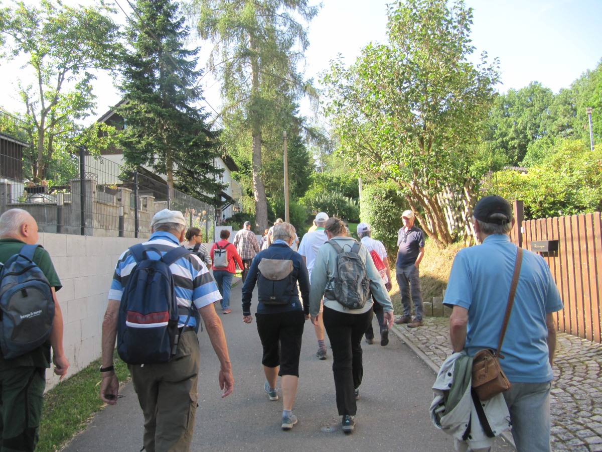 Waldbegehung_2026-07-25