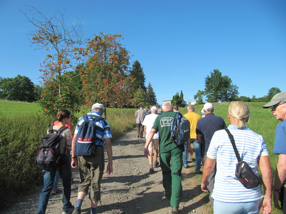 Waldbegehung_2026-07-25