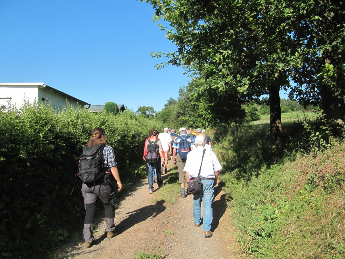 Waldbegehung_2026-07-25