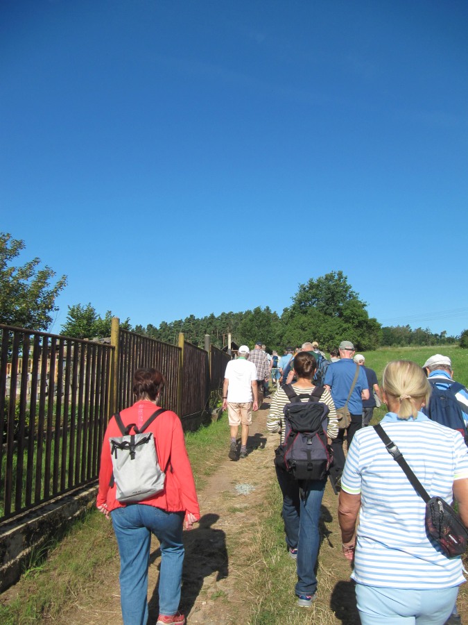 Waldbegehung_2026-07-25