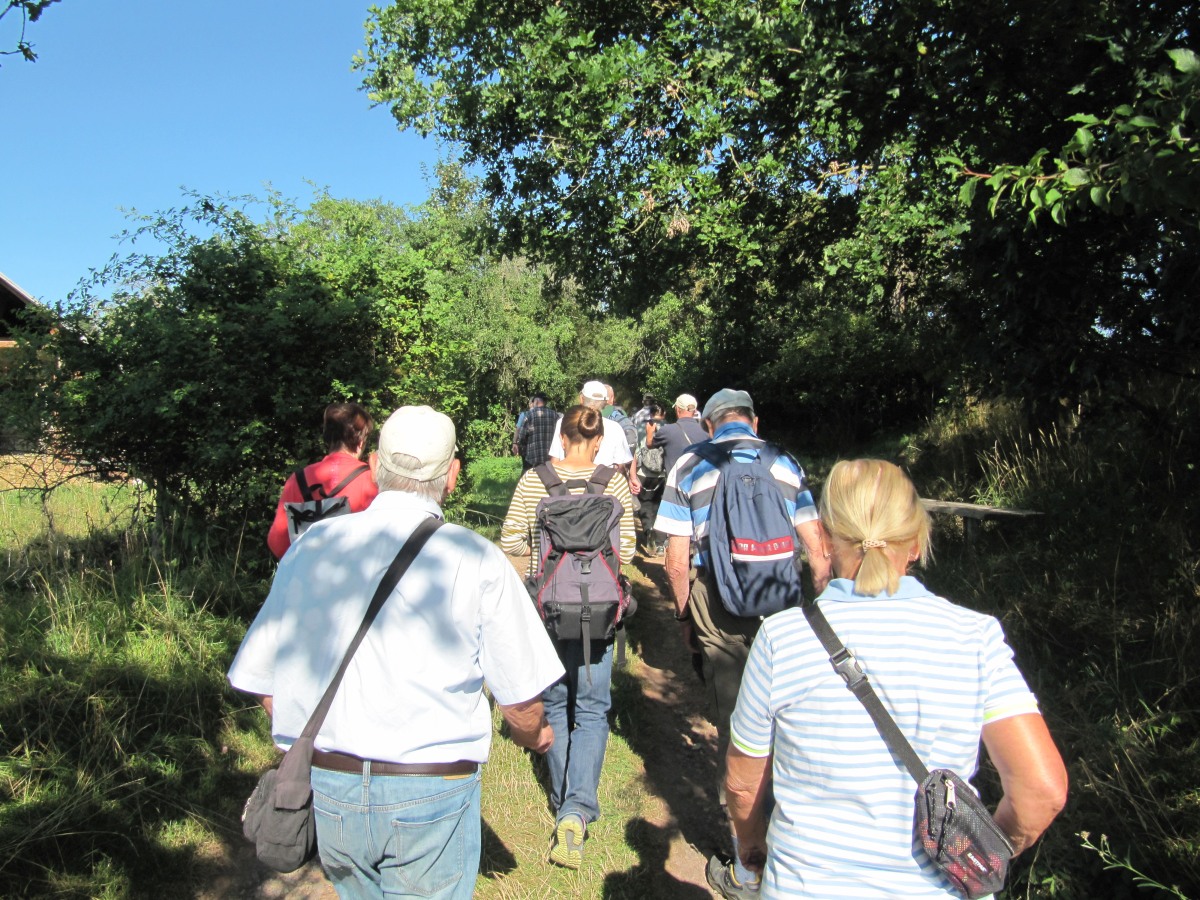 Waldbegehung_2026-07-25