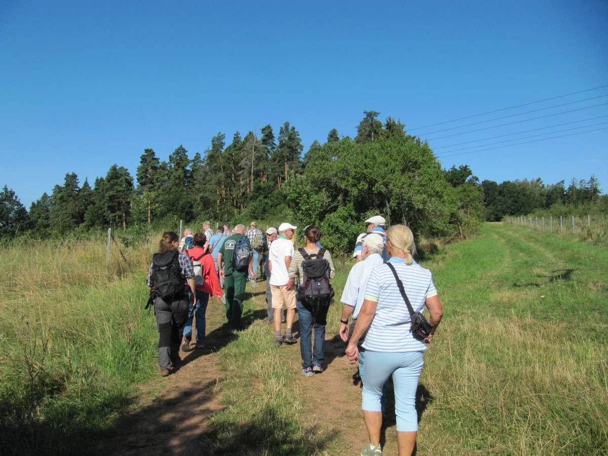 Waldbegehung_2026-07-25