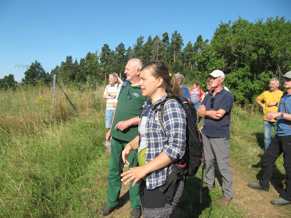 Waldbegehung_2026-07-25