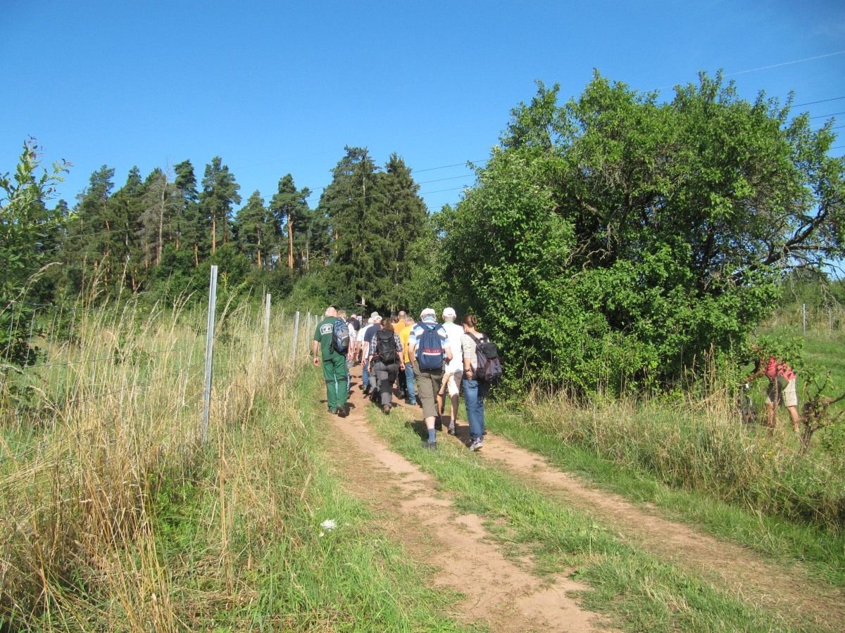 Waldbegehung_2026-07-25