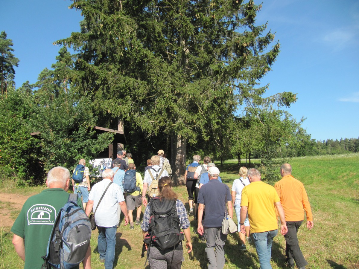 Waldbegehung_2026-07-25