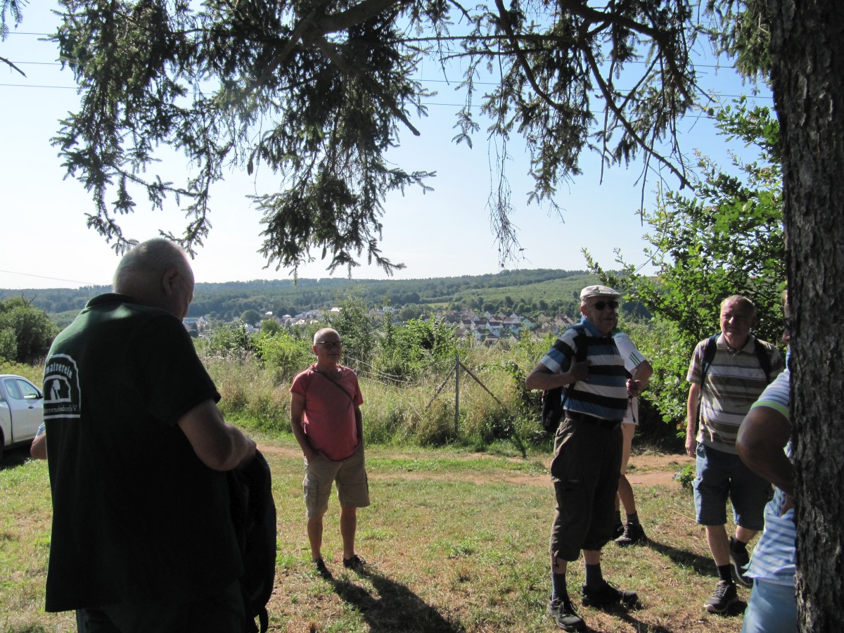 Waldbegehung_2026-07-25