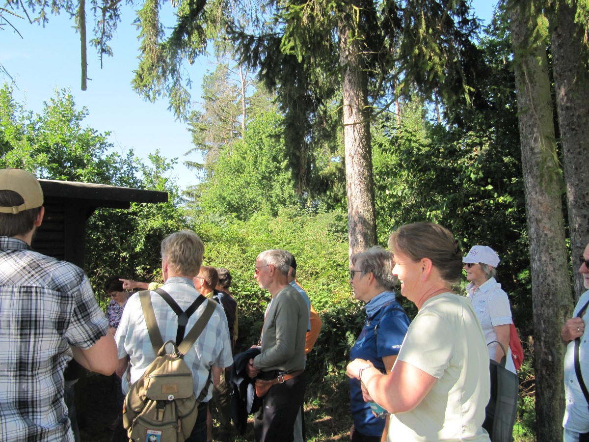 Waldbegehung_2026-07-25