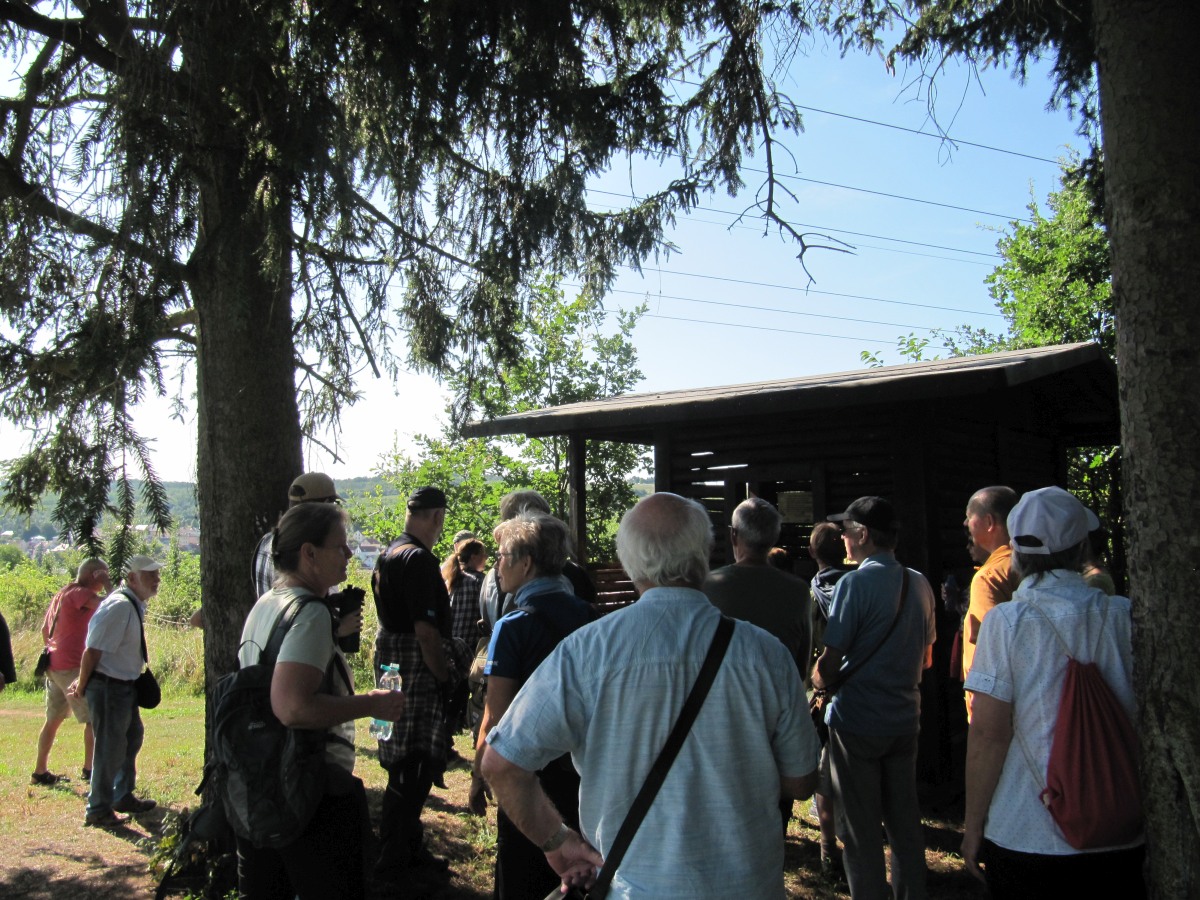 Waldbegehung_2026-07-25