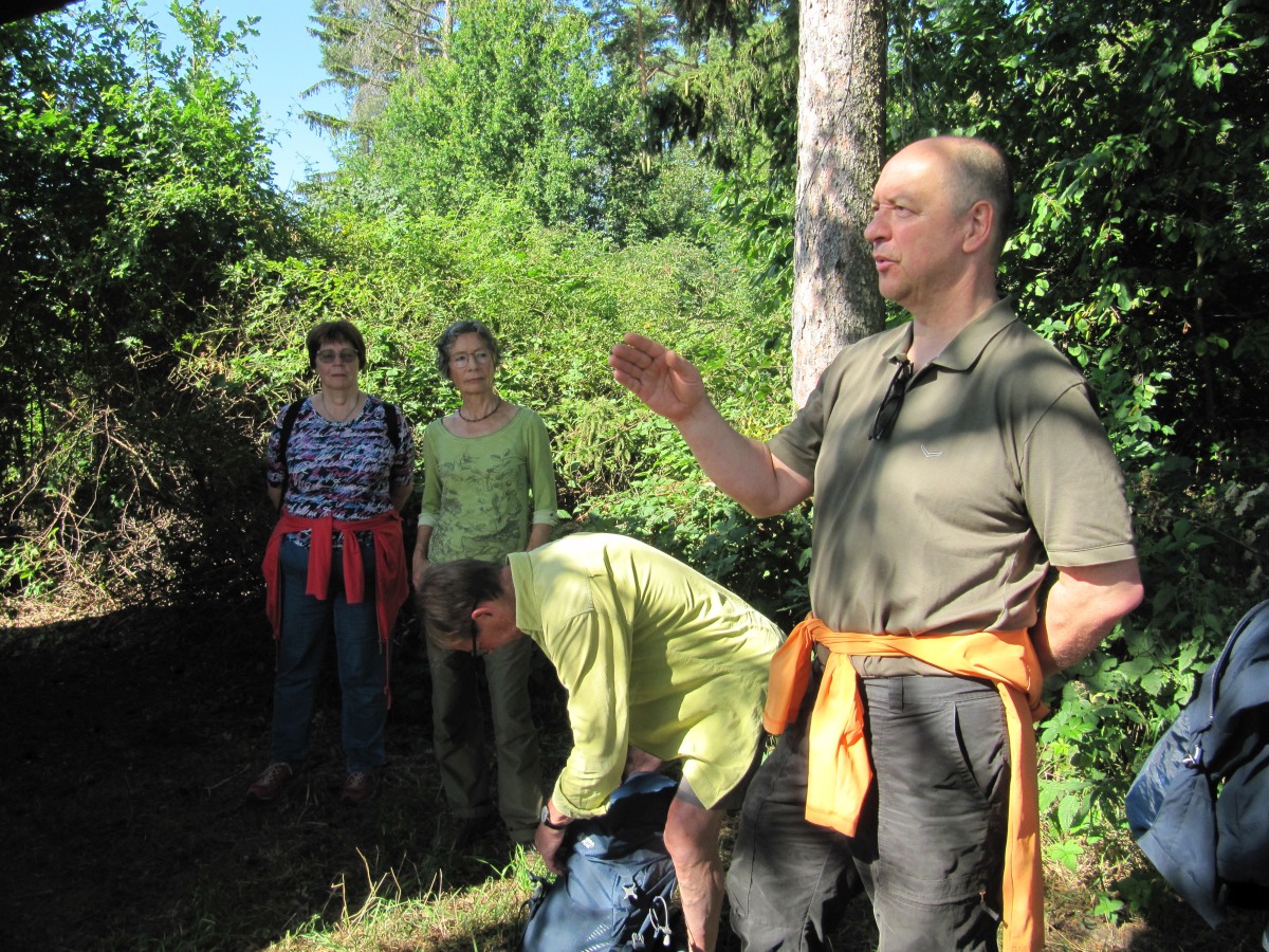 Waldbegehung_2026-07-25