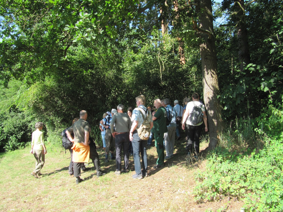 Waldbegehung_2026-07-25