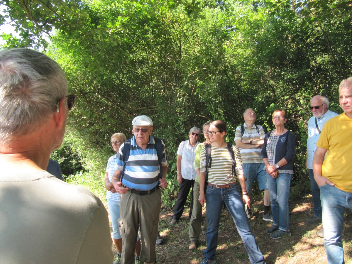 Waldbegehung_2026-07-25