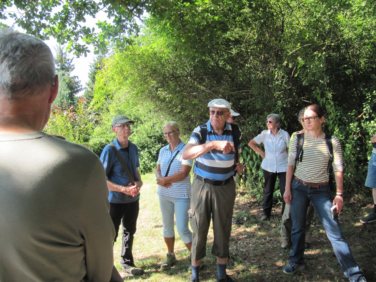 Waldbegehung_2026-07-25