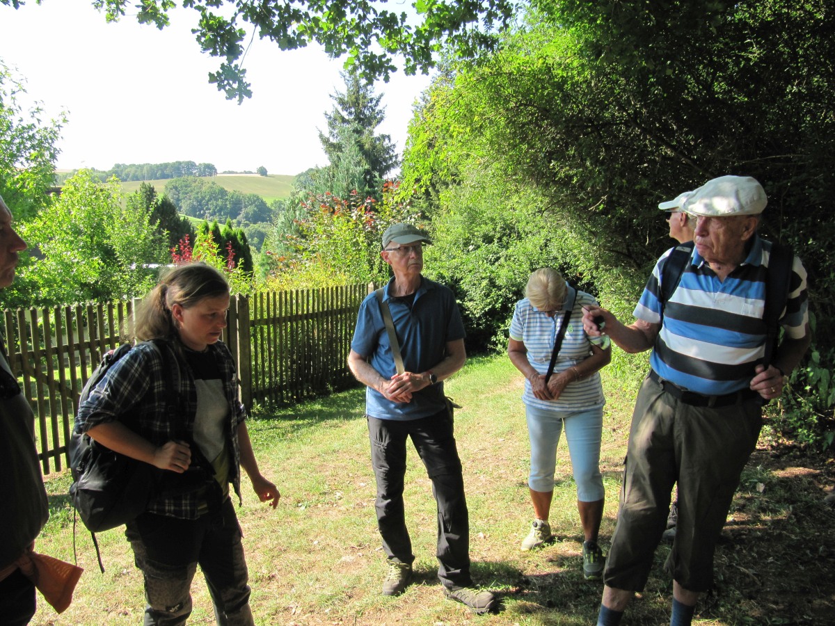 Waldbegehung_2026-07-25