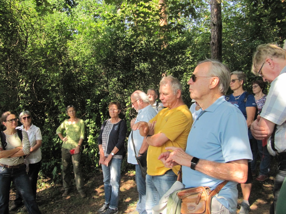 Waldbegehung_2026-07-25