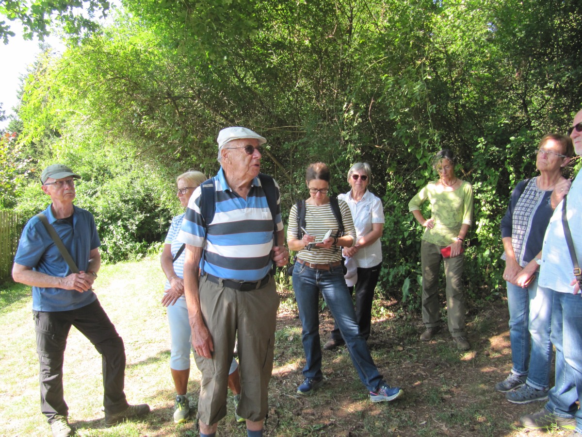 Waldbegehung_2026-07-25