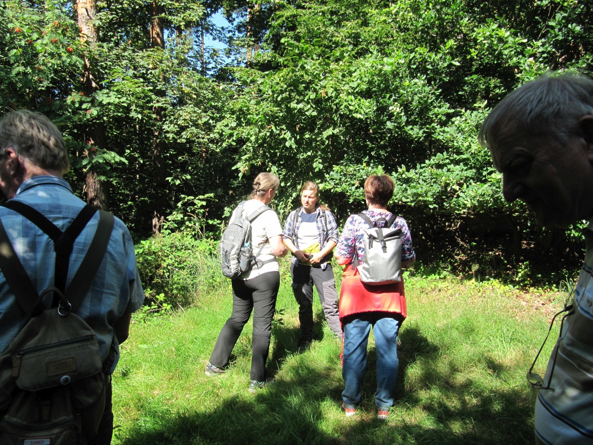 Waldbegehung_2026-07-25
