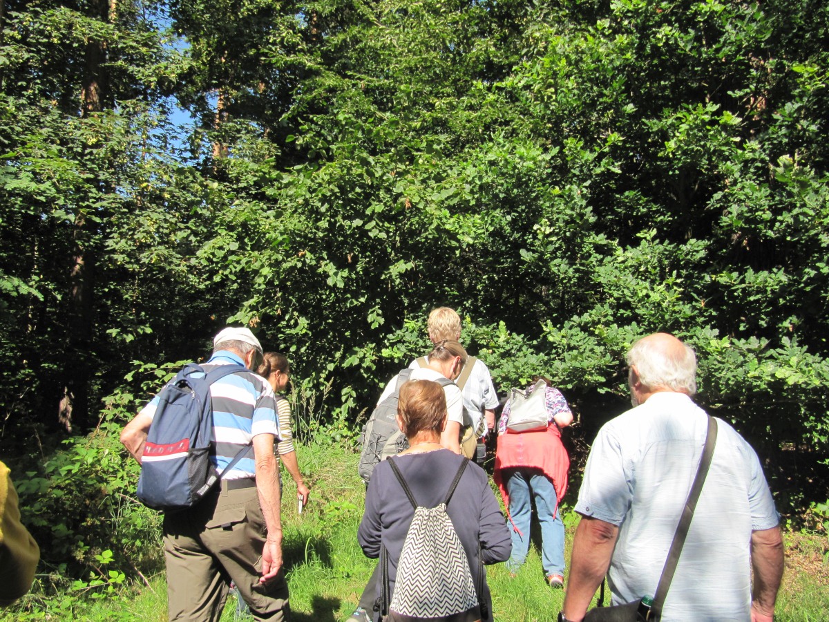Waldbegehung_2026-07-25