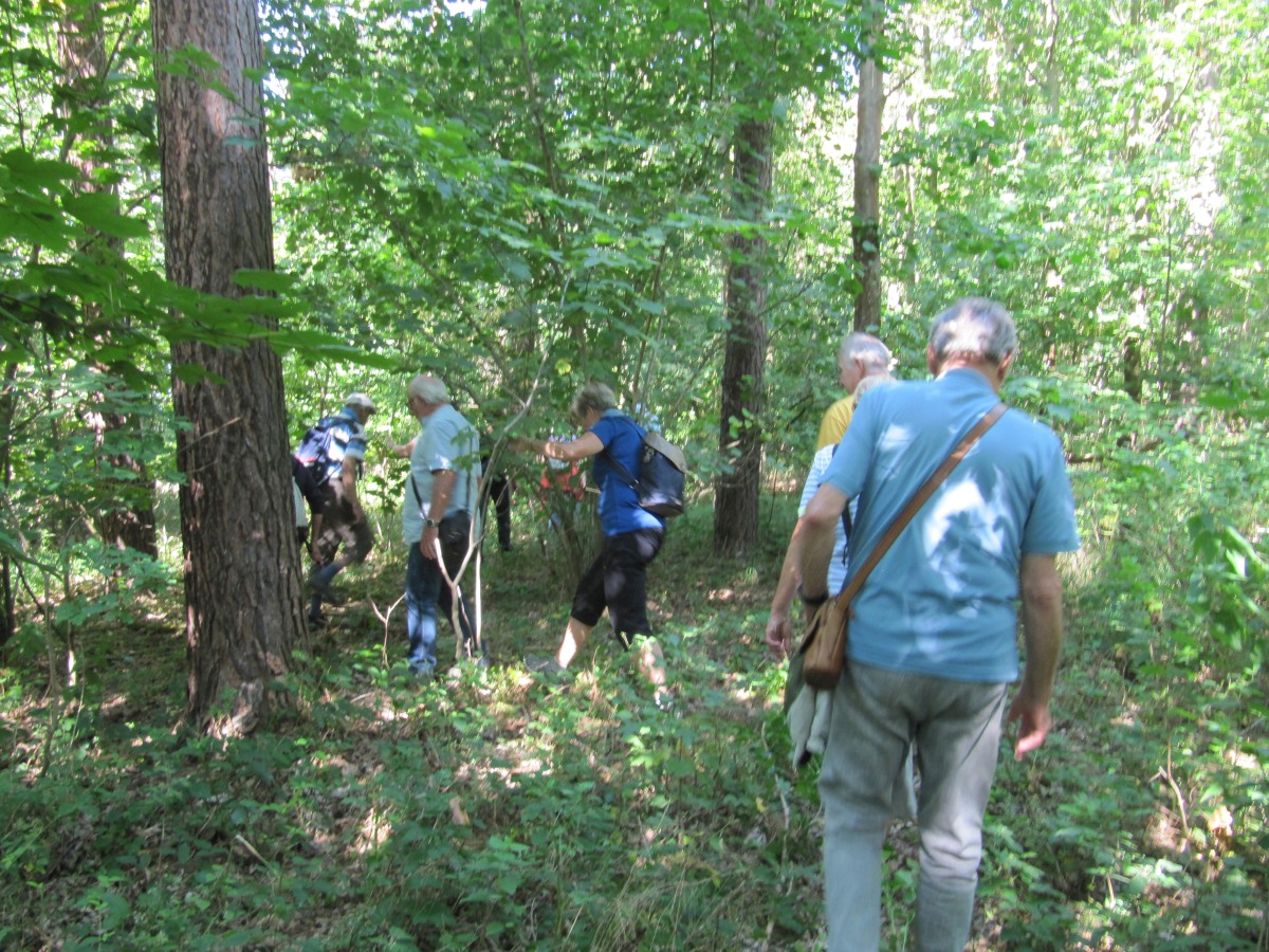 Waldbegehung_2026-07-25