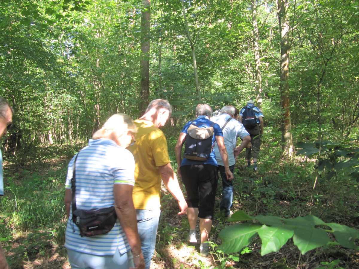 Waldbegehung_2026-07-25