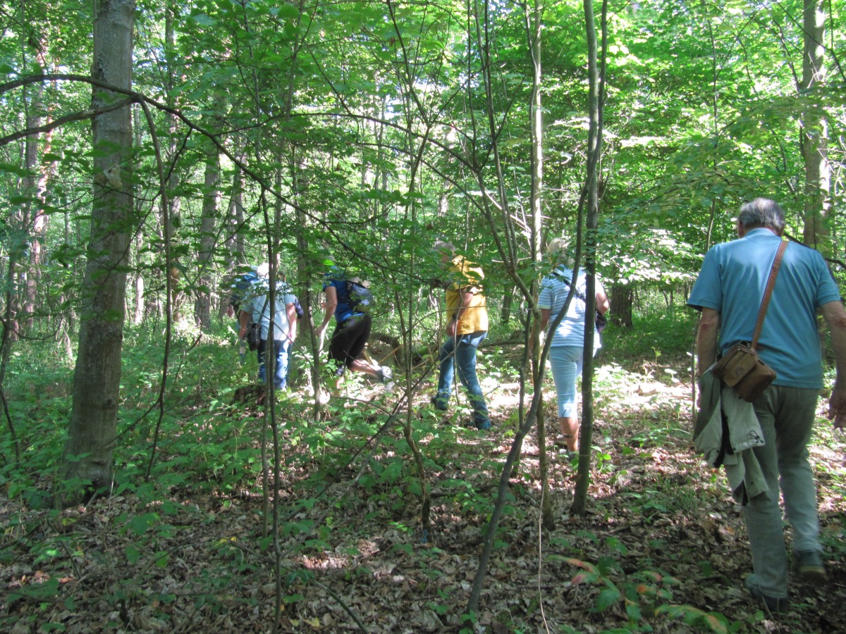 Waldbegehung_2026-07-25