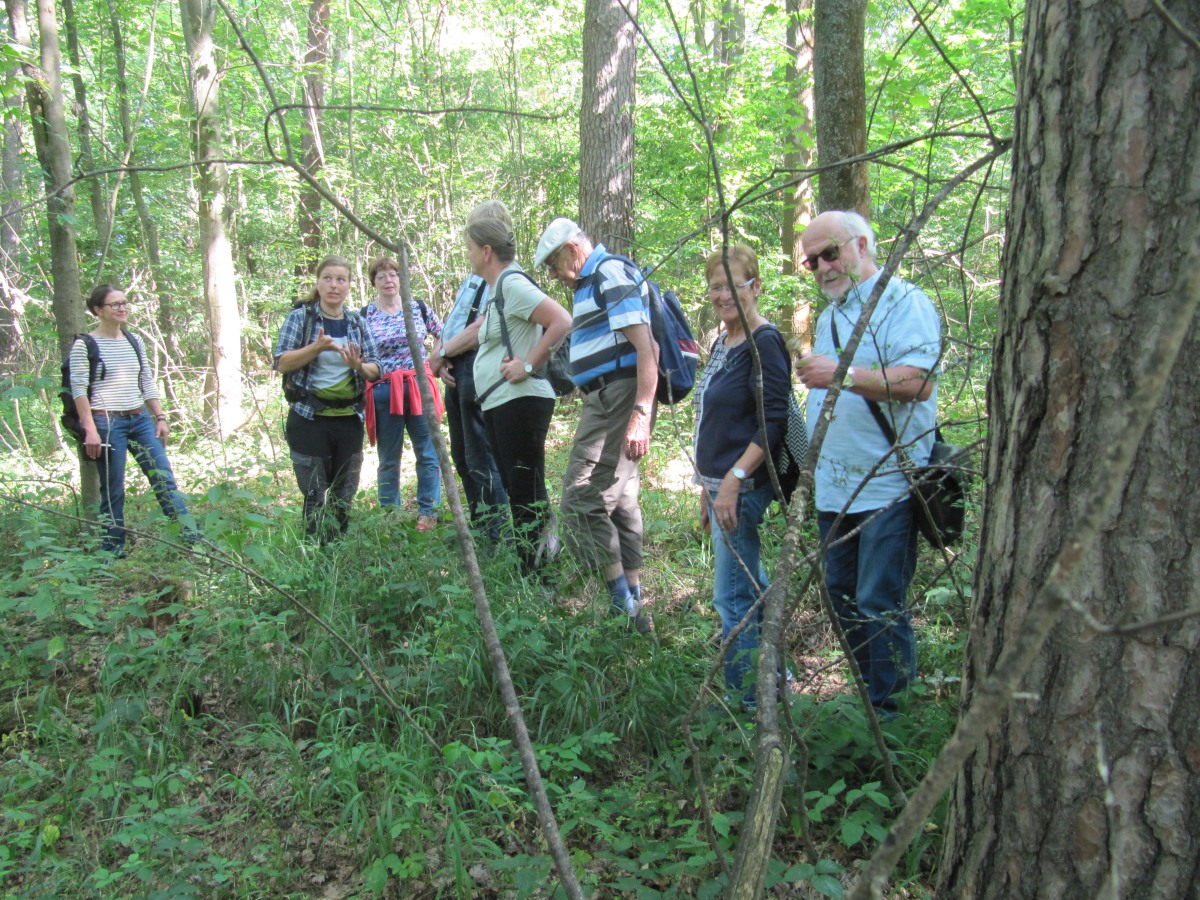 Waldbegehung_2026-07-25