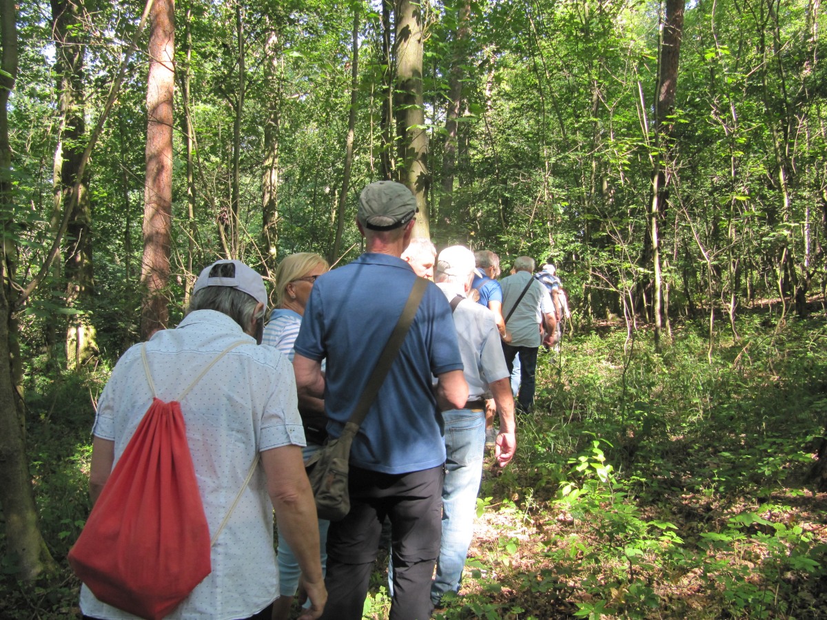 Waldbegehung_2026-07-25