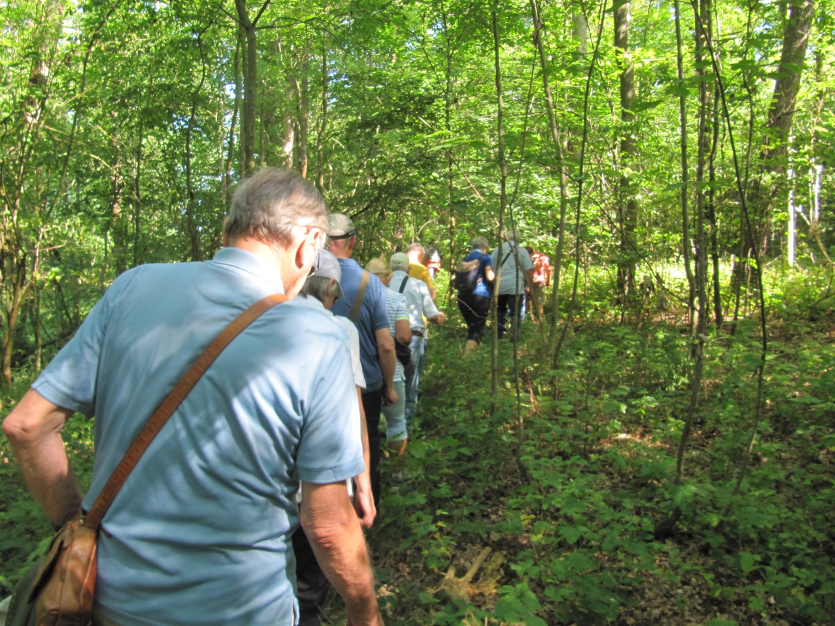 Waldbegehung_2026-07-25