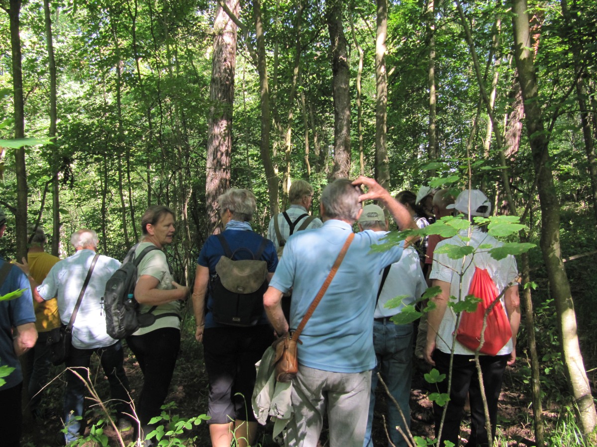 Waldbegehung_2026-07-25