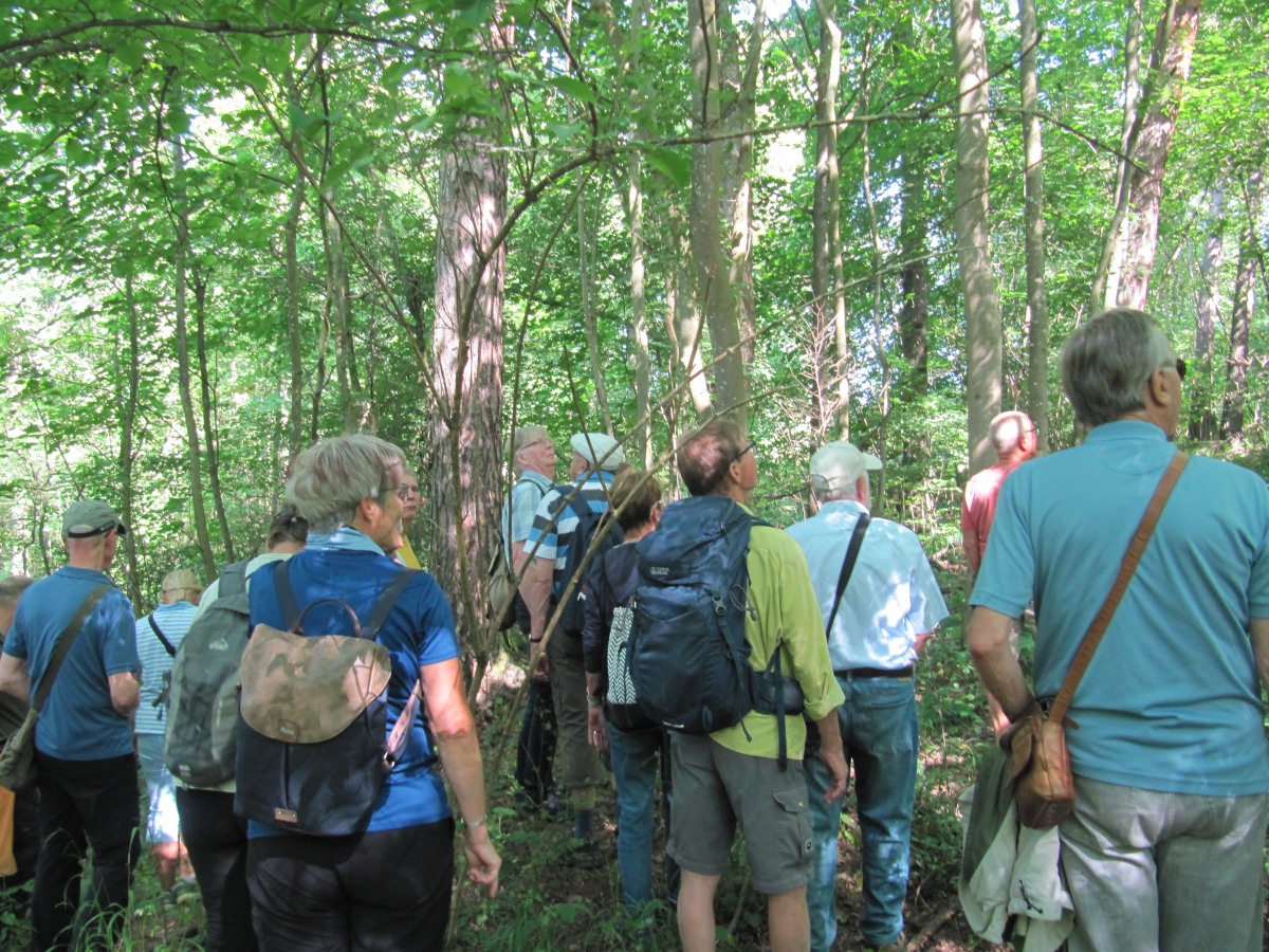 Waldbegehung_2026-07-25