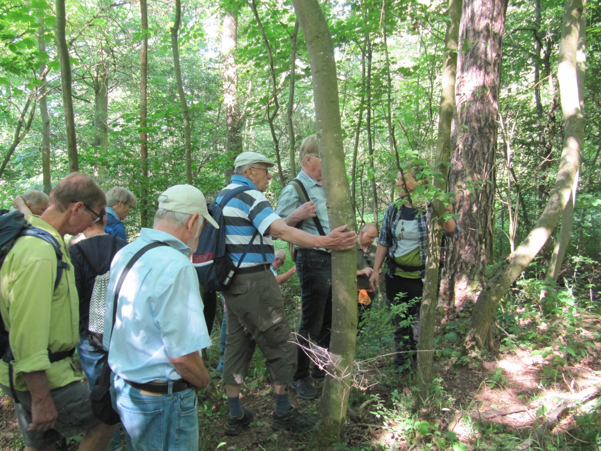 Waldbegehung_2026-07-25