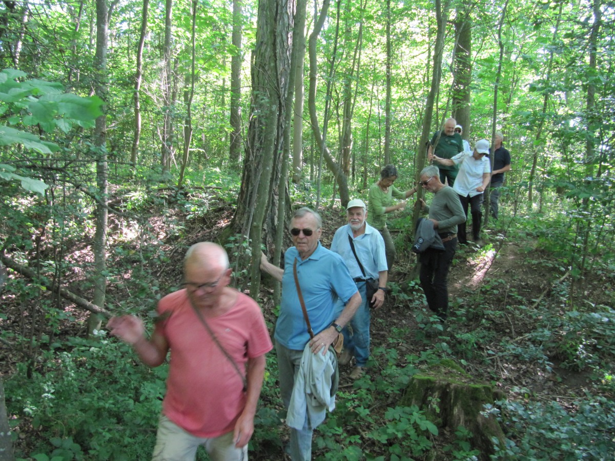 Waldbegehung_2026-07-25