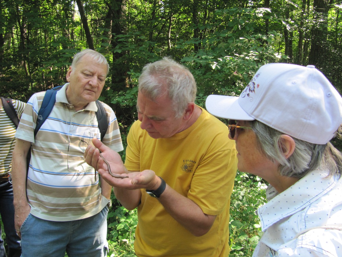 Waldbegehung_2026-07-25
