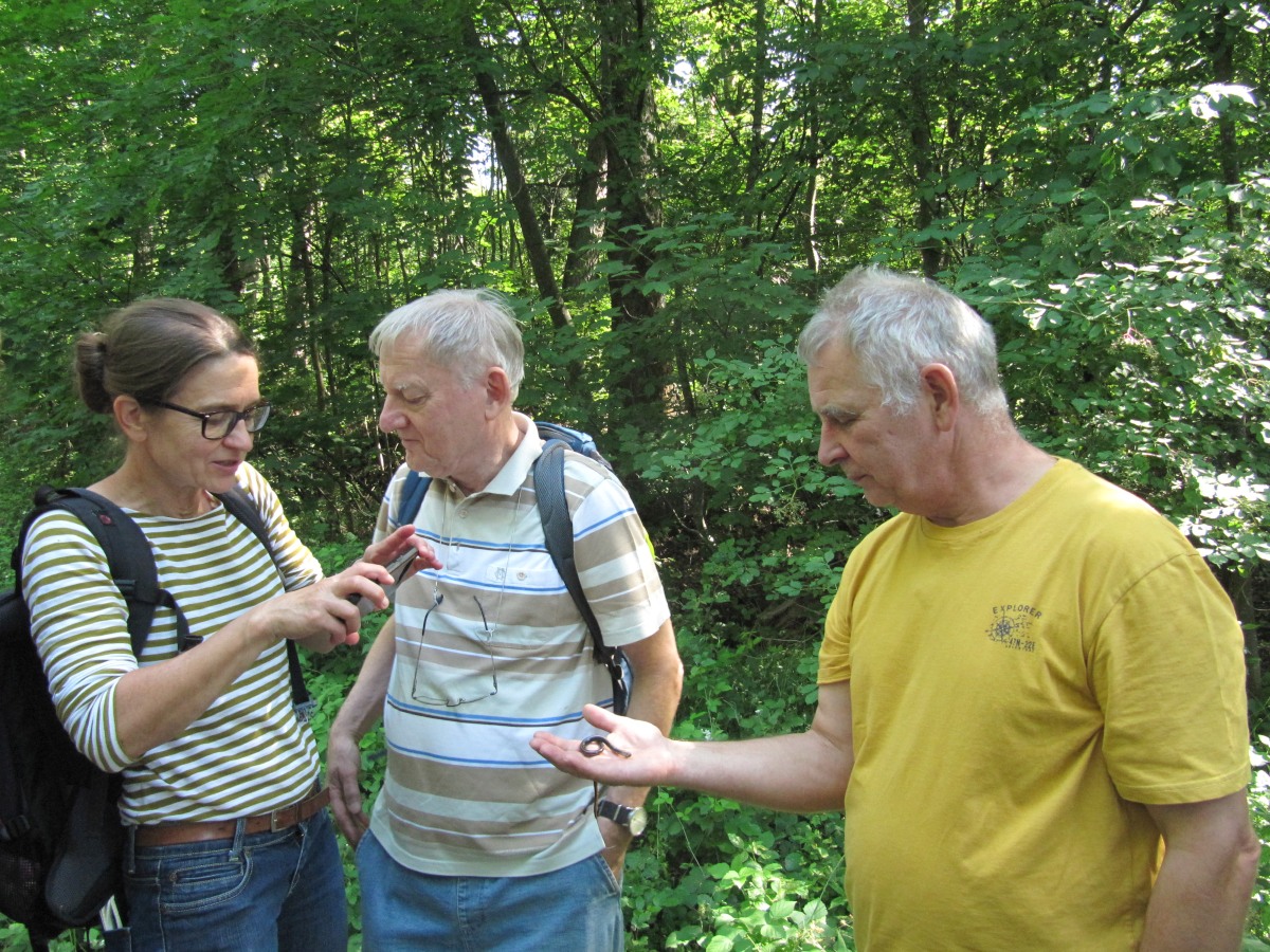 Waldbegehung_2026-07-25